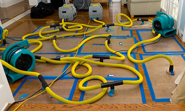 Professional Water Damage Repair technician working in Pickett, WI